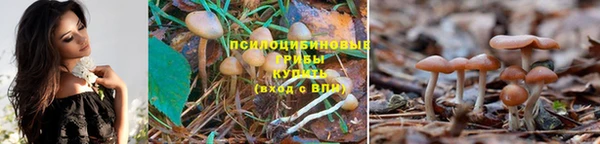 дживик Абаза