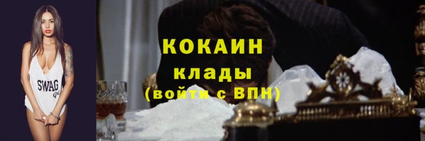 дживик Абаза
