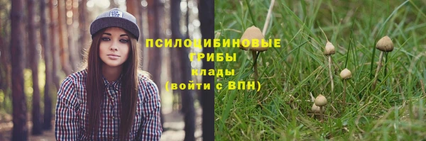 PSILOCYBIN Абинск