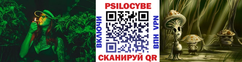 ОМГ ОМГ маркетплейс  Сысерть  Галлюциногенные грибы Psilocybe 